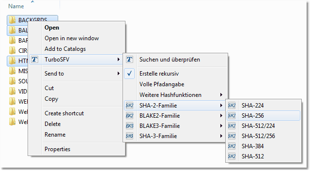 Bildschirmfoto: Shell-Einbindung