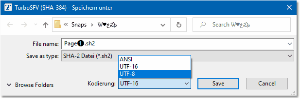 Bildschirmfoto: Unicode Kodierung auswählen