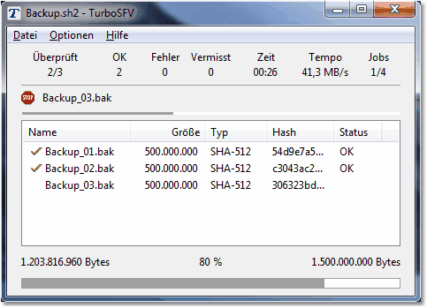 TurboSFV - Software für die Berechnung und Überprüfung von ...